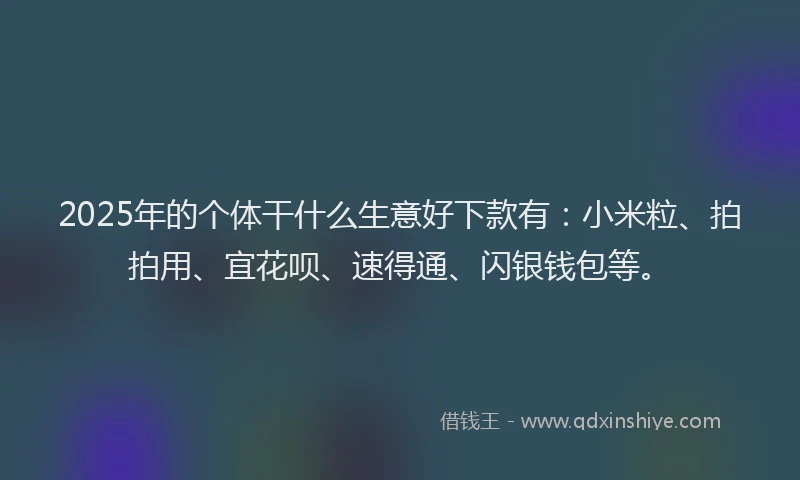 2025年的个体干什么生意好下款有：小米粒、拍拍用、宜花呗、速得通、闪银钱包等。