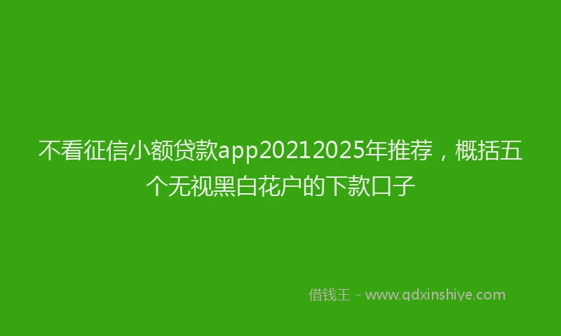 不看征信小额贷款app20212025年推荐，概括五个无视黑白花户的下款口子