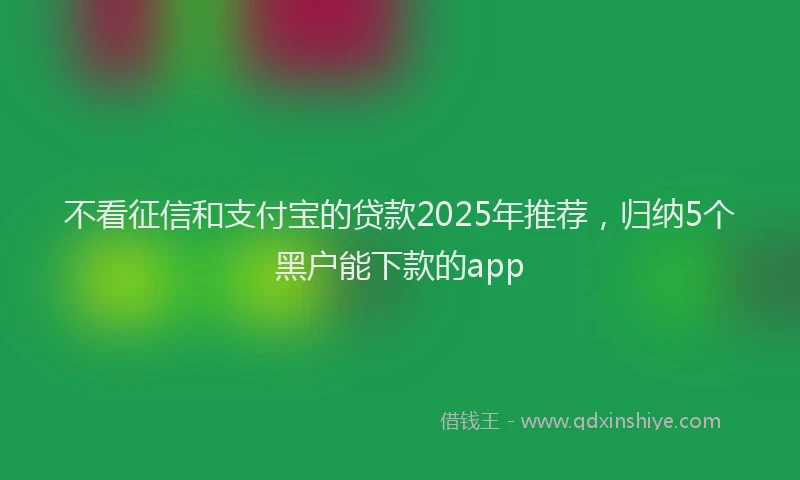 不看征信和支付宝的贷款2025年推荐，归纳5个黑户能下款的app