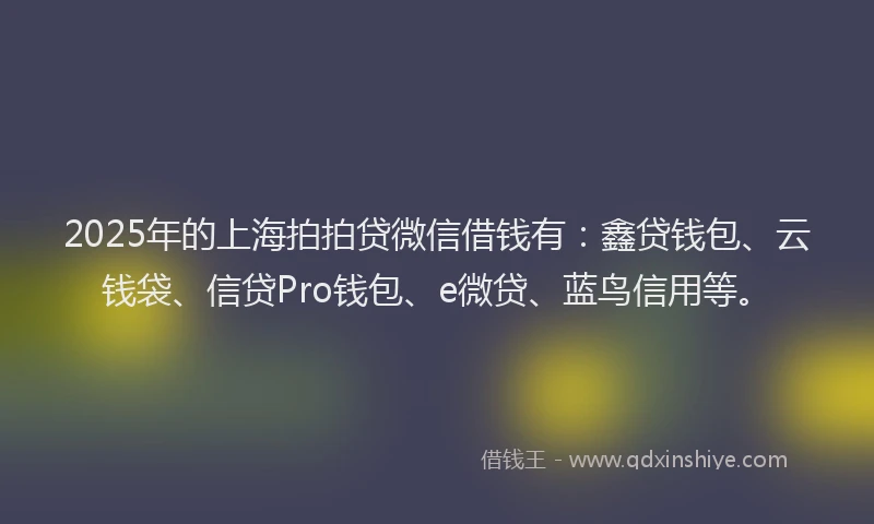 2025年的上海拍拍贷微信借钱有：鑫贷钱包、云钱袋、信贷Pro钱包、e微贷、蓝鸟信用等。