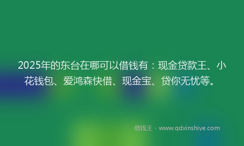 2025年的东台在哪可以借钱有：现金贷款王、小花钱包、爱鸿森快借、现金宝、贷你无忧等。