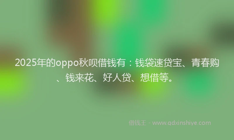 2025年的oppo秋呗借钱有：钱袋速贷宝、青春购、钱来花、好人贷、想借等。