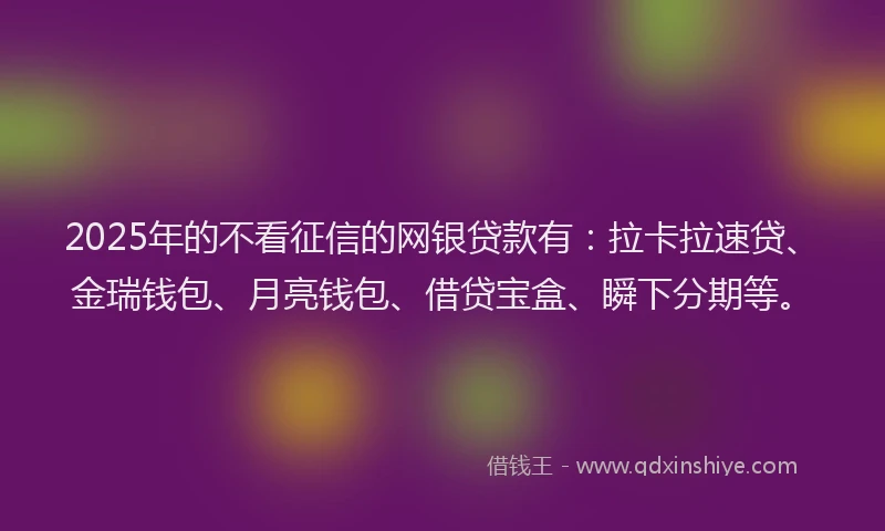 2025年的不看征信的网银贷款有：拉卡拉速贷、金瑞钱包、月亮钱包、借贷宝盒、瞬下分期等。