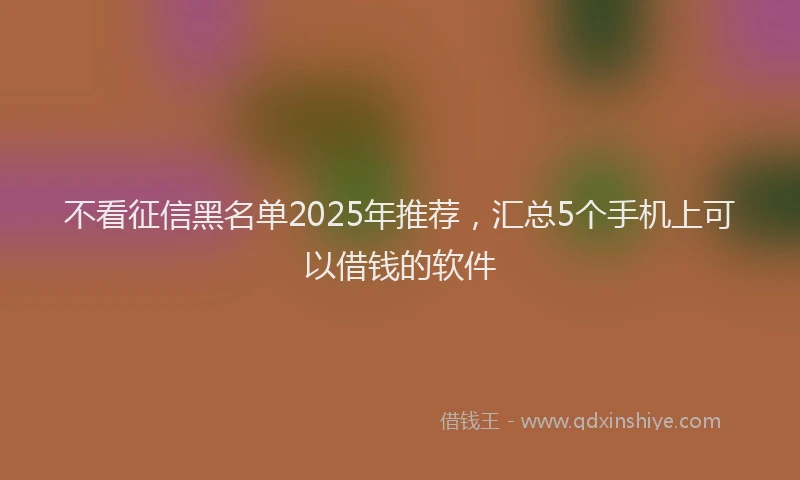 不看征信黑名单2025年推荐，汇总5个手机上可以借钱的软件