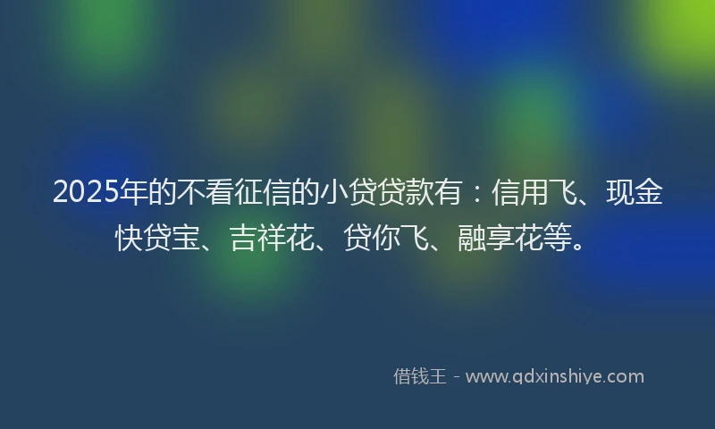 2025年的不看征信的小贷贷款有：信用飞、现金快贷宝、吉祥花、贷你飞、融享花等。