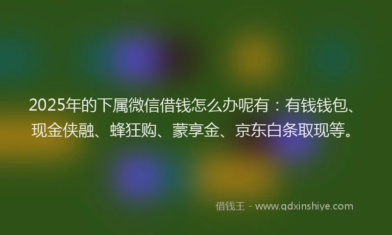 2025年的下属微信借钱怎么办呢有：有钱钱包、现金侠融、蜂狂购、蒙享金、京东白条取现等。