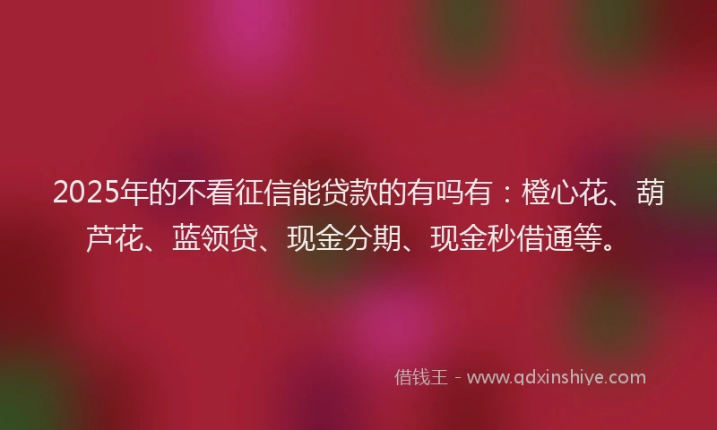 2025年的不看征信能贷款的有吗有：橙心花、葫芦花、蓝领贷、现金分期、现金秒借通等。