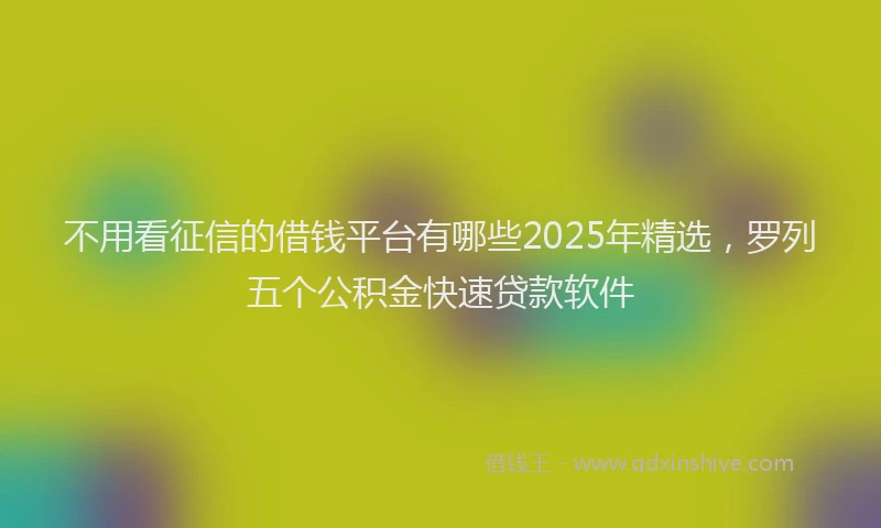 不用看征信的借钱平台有哪些2025年精选，罗列五个公积金快速贷款软件
