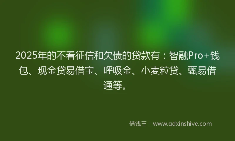 2025年的不看征信和欠债的贷款有：智融Pro+钱包、现金贷易借宝、呼吸金、小麦粒贷、甄易借通等。