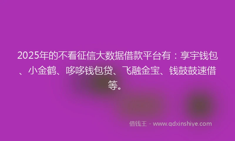 2025年的不看征信大数据借款平台有：享宇钱包、小金鹤、哆哆钱包贷、飞融金宝、钱鼓鼓速借等。