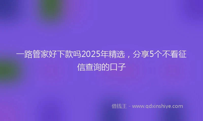 一路管家好下款吗2025年精选，分享5个不看征信查询的口子