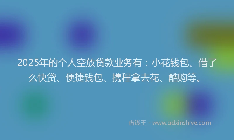 2025年的个人空放贷款业务有：小花钱包、借了么快贷、便捷钱包、携程拿去花、酷购等。