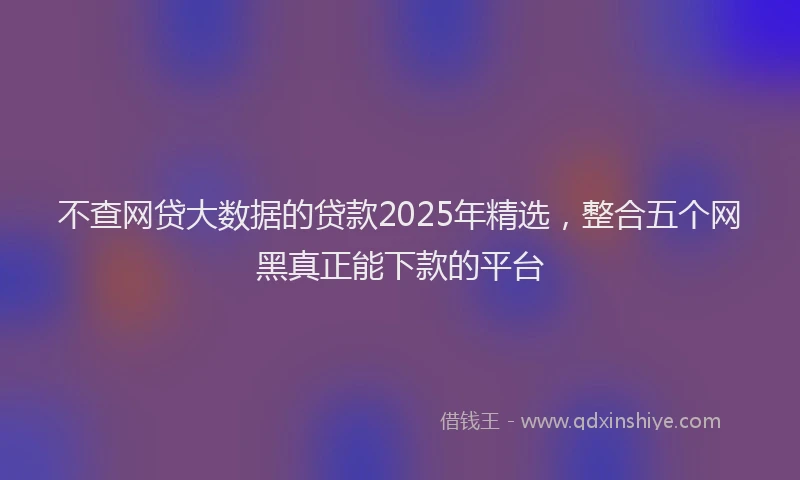 不查网贷大数据的贷款2025年精选，整合五个网黑真正能下款的平台
