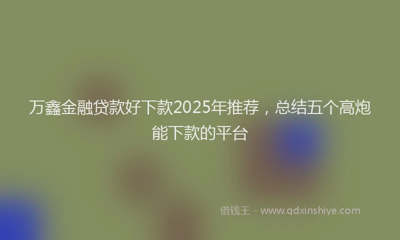 万鑫金融贷款好下款2025年推荐，总结五个高炮能下款的平台