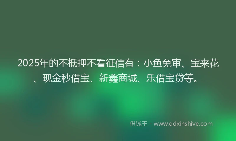 2025年的不抵押不看征信有：小鱼免审、宝来花、现金秒借宝、新鑫商城、乐借宝贷等。