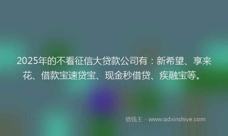 2025年的不看征信大贷款公司有：新希望、享来花、借款宝速贷宝、现金秒借贷、疾融宝等。