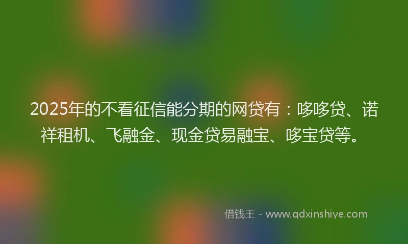 2025年的不看征信能分期的网贷有：哆哆贷、诺祥租机、飞融金、现金贷易融宝、哆宝贷等。