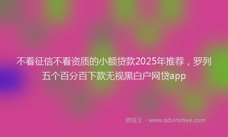 不看征信不看资质的小额贷款2025年推荐，罗列五个百分百下款无视黑白户网贷app