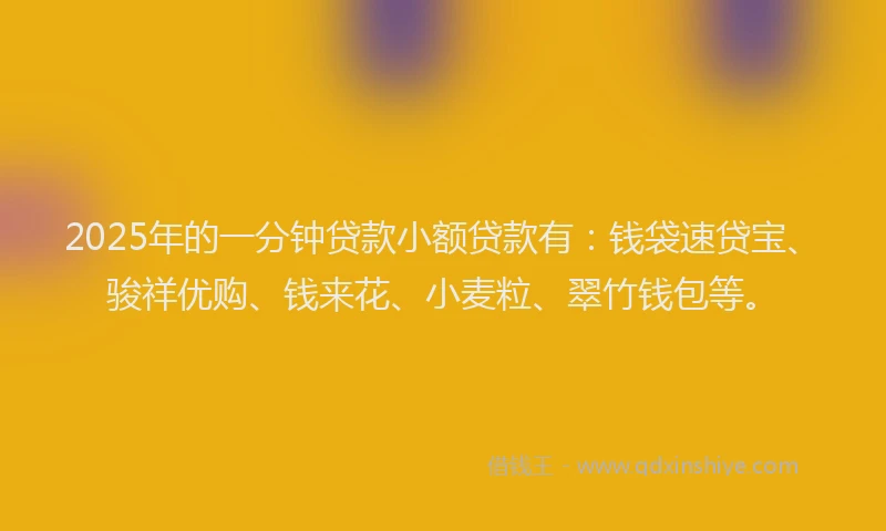 2025年的一分钟贷款小额贷款有：钱袋速贷宝、骏祥优购、钱来花、小麦粒、翠竹钱包等。