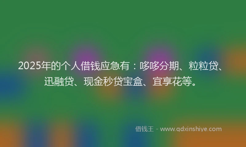2025年的个人借钱应急有：哆哆分期、粒粒贷、迅融贷、现金秒贷宝盒、宜享花等。