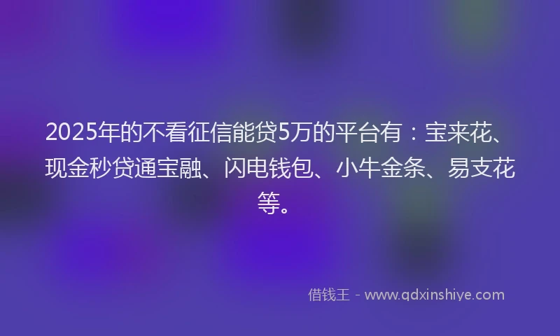 2025年的不看征信能贷5万的平台有：宝来花、现金秒贷通宝融、闪电钱包、小牛金条、易支花等。