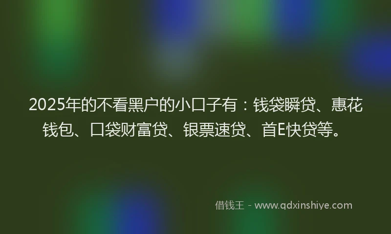 2025年的不看黑户的小口子有：钱袋瞬贷、惠花钱包、口袋财富贷、银票速贷、首E快贷等。