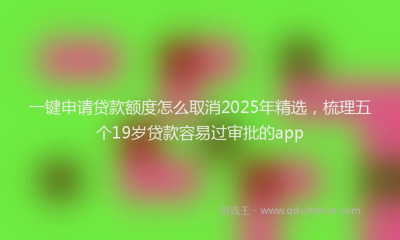 一键申请贷款额度怎么取消2025年精选，梳理五个19岁贷款容易过审批的app