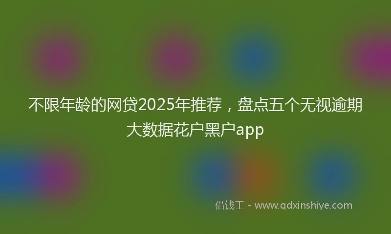 不限年龄的网贷2025年推荐，盘点五个无视逾期大数据花户黑户app