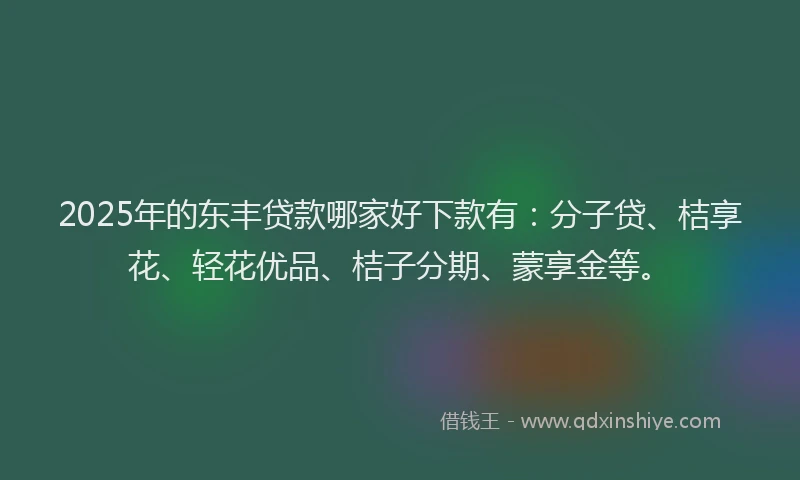 2025年的东丰贷款哪家好下款有：分子贷、桔享花、轻花优品、桔子分期、蒙享金等。