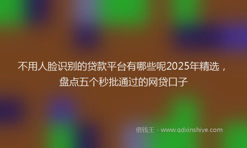不用人脸识别的贷款平台有哪些呢2025年精选，盘点五个秒批通过的网贷口子
