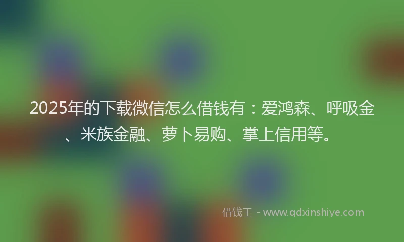 2025年的下载微信怎么借钱有：爱鸿森、呼吸金、米族金融、萝卜易购、掌上信用等。