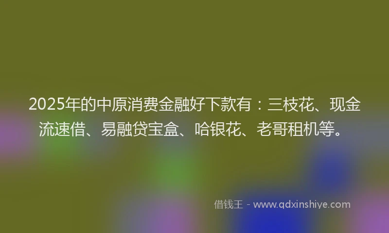 2025年的中原消费金融好下款有：三枝花、现金流速借、易融贷宝盒、哈银花、老哥租机等。