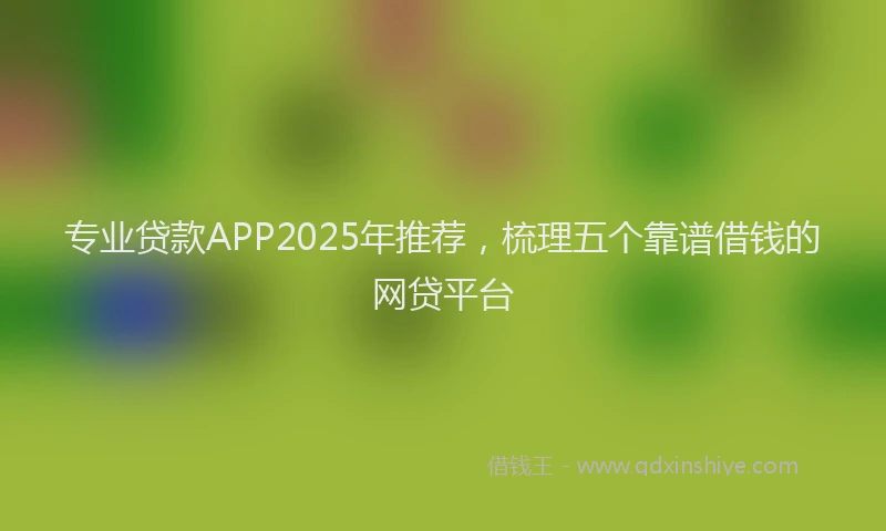 专业贷款APP2025年推荐，梳理五个靠谱借钱的网贷平台