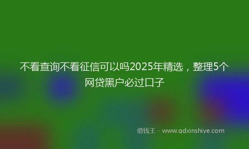 不看查询不看征信可以吗2025年精选，整理5个网贷黑户必过口子