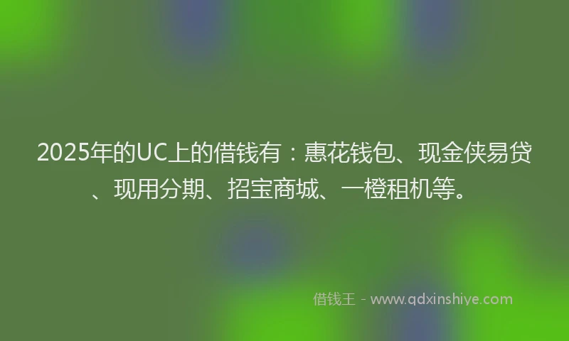 2025年的UC上的借钱有：惠花钱包、现金侠易贷、现用分期、招宝商城、一橙租机等。