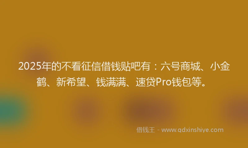 2025年的不看征信借钱贴吧有：六号商城、小金鹤、新希望、钱满满、速贷Pro钱包等。