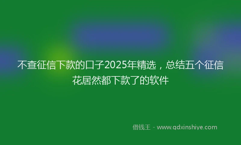 不查征信下款的口子2025年精选，总结五个征信花居然都下款了的软件