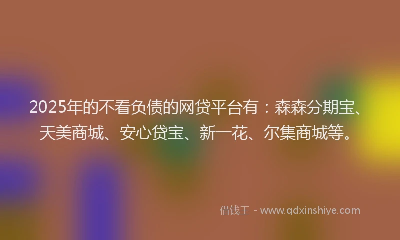 2025年的不看负债的网贷平台有：森森分期宝、天美商城、安心贷宝、新一花、尔集商城等。