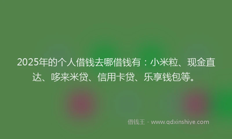 2025年的个人借钱去哪借钱有：小米粒、现金直达、哆来米贷、信用卡贷、乐享钱包等。