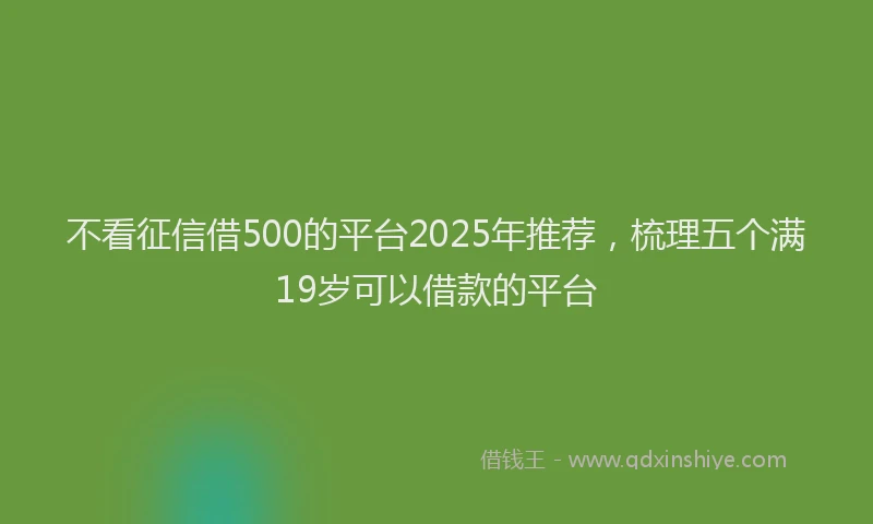 不看征信借500的平台2025年推荐，梳理五个满19岁可以借款的平台