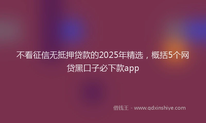 不看征信无抵押贷款的2025年精选，概括5个网贷黑口子必下款app