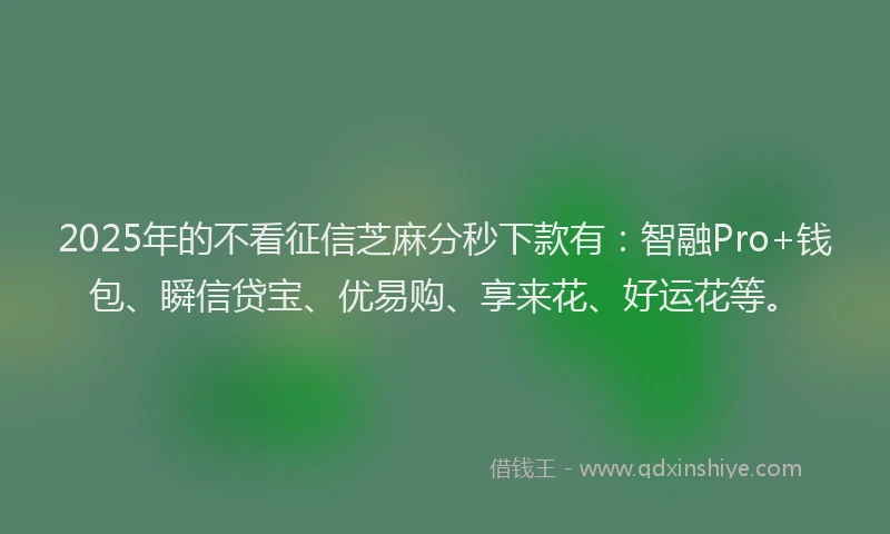 2025年的不看征信芝麻分秒下款有：智融Pro+钱包、瞬信贷宝、优易购、享来花、好运花等。