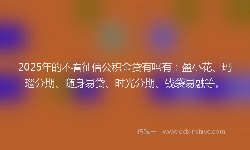 2025年的不看征信公积金贷有吗有：盈小花、玛瑙分期、随身易贷、时光分期、钱袋易融等。