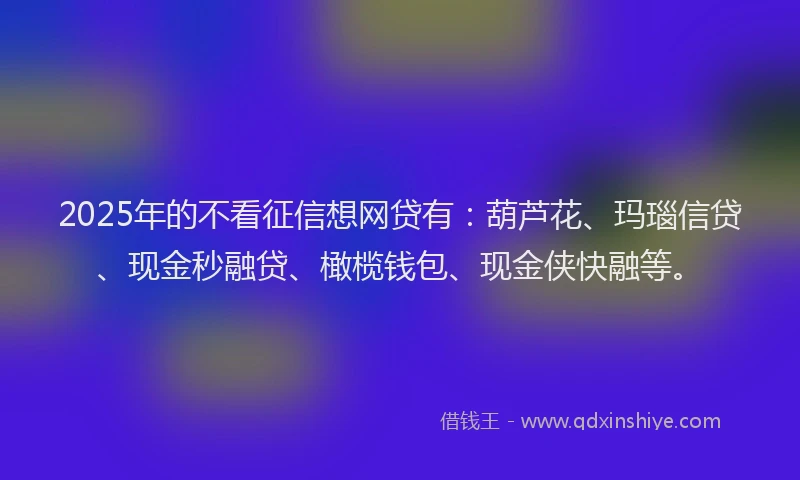 2025年的不看征信想网贷有：葫芦花、玛瑙信贷、现金秒融贷、橄榄钱包、现金侠快融等。