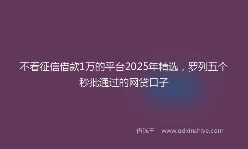 不看征信借款1万的平台2025年精选，罗列五个秒批通过的网贷口子