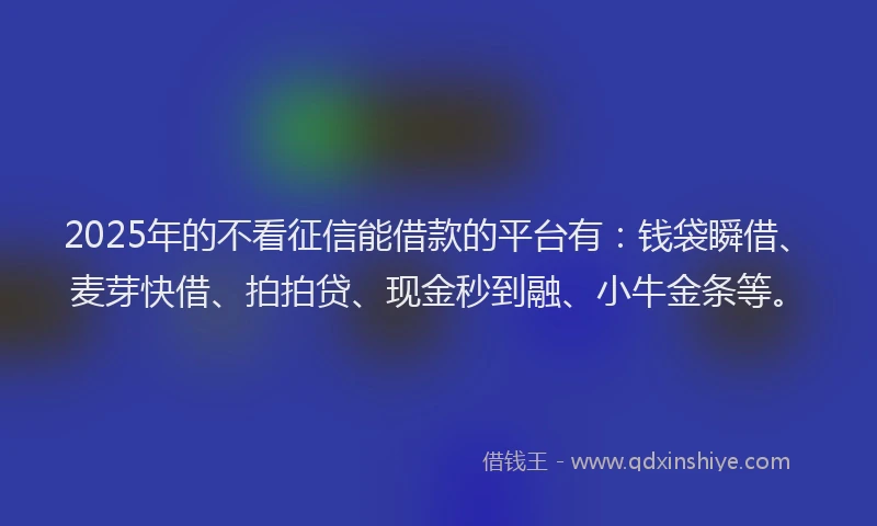 2025年的不看征信能借款的平台有：钱袋瞬借、麦芽快借、拍拍贷、现金秒到融、小牛金条等。