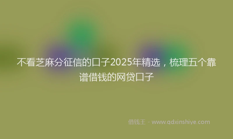 不看芝麻分征信的口子2025年精选，梳理五个靠谱借钱的网贷口子