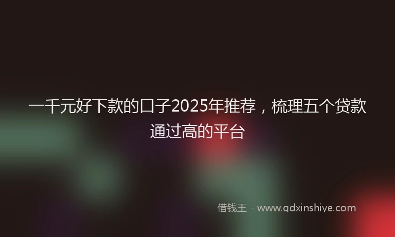 一千元好下款的口子2025年推荐，梳理五个贷款通过高的平台