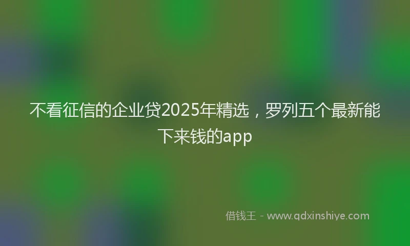 不看征信的企业贷2025年精选，罗列五个最新能下来钱的app
