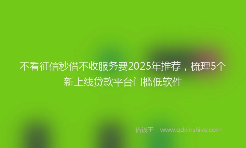 不看征信秒借不收服务费2025年推荐，梳理5个新上线贷款平台门槛低软件